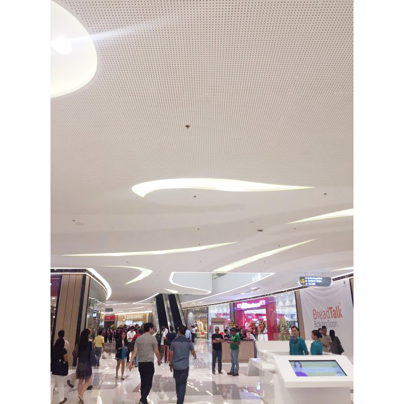 acoustic gypsum board