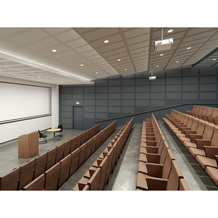 acoustic gypsum ceiling