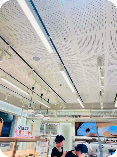 Acoustic Perforated Gypsum Board